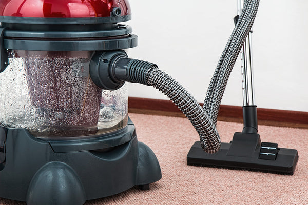 Tips to Maintaining a Clean Carpet Everybot