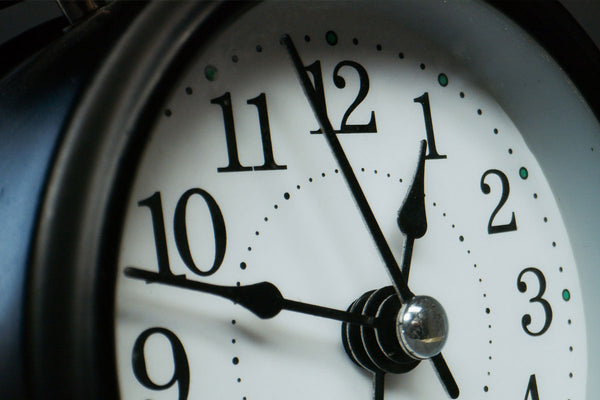How To Save Two Weeks a Year Using an Everybot - EVERYBOT