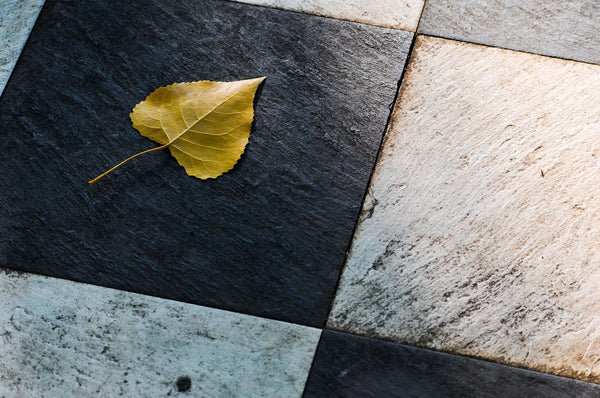 A Step-by-Step Guide to Choosing Flooring - EVERYBOT
